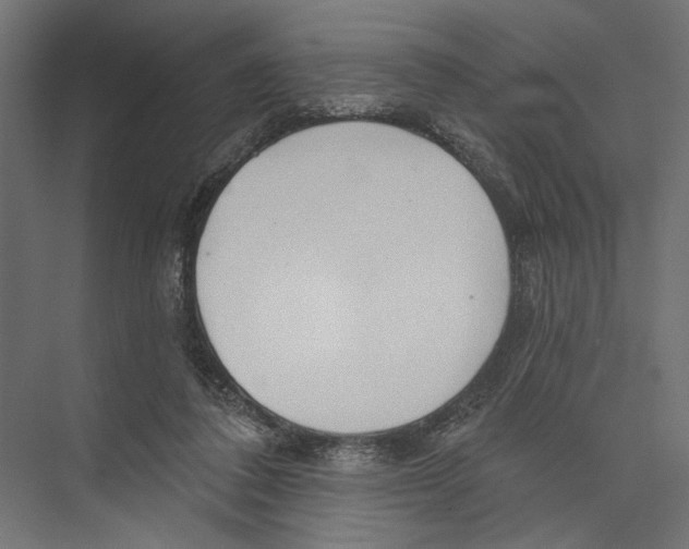 X0000075340308200610061702