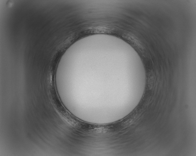 X0000075340310200610061702