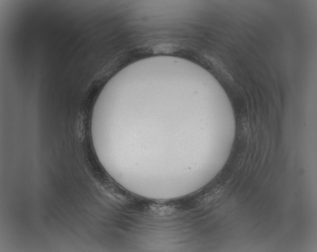 X0000075340311200610061701