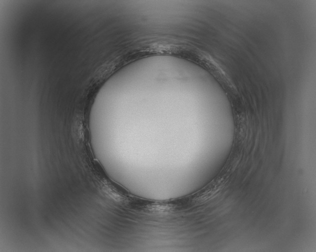 X0000075340313200610061701