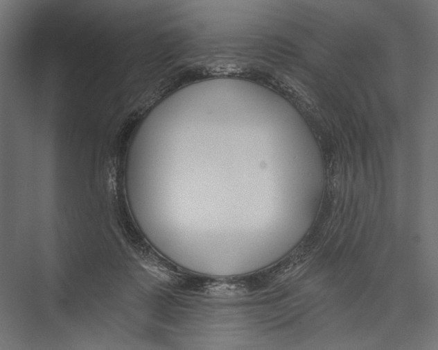 X0000075340315200610061701