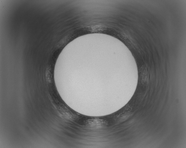 X0000075340316200610061701