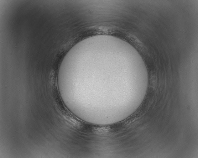 X0000075340318200610061701