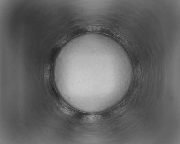 X0000075340323200610061701