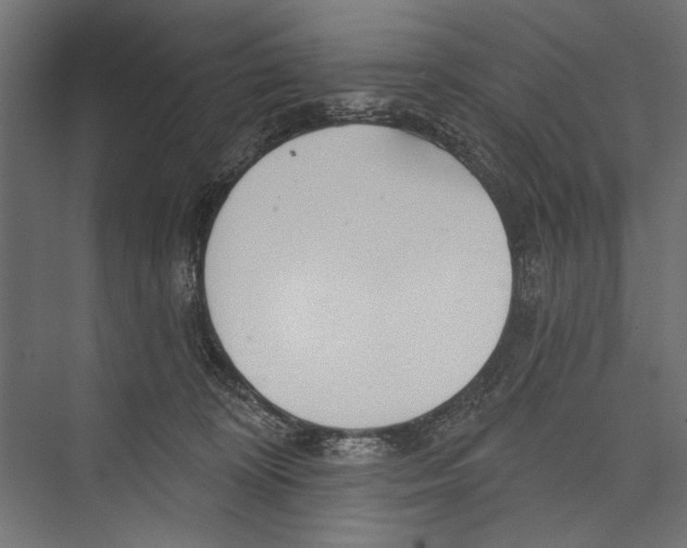 X0000075340324200610061701