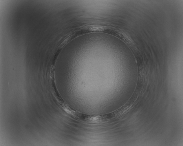 X0000075340325200610061701