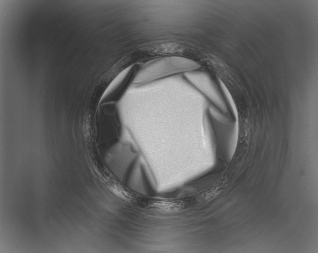X0000075340326200610061701