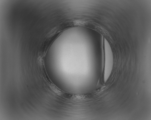 X0000075340329200610061701