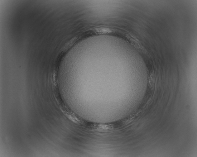 X0000075340330200610061701