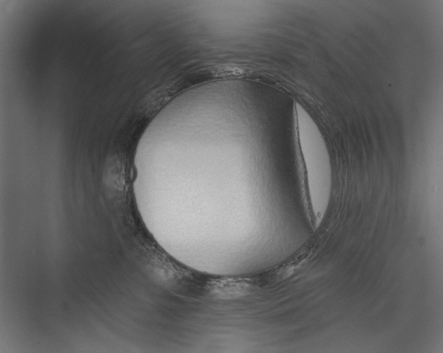 X0000075340331200610061701