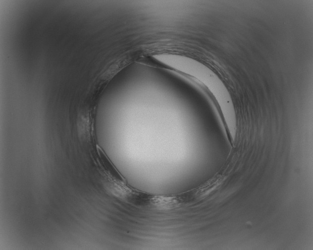 X0000075340333200610061701