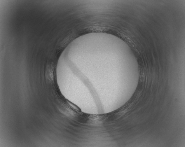 X0000075340334200610061701