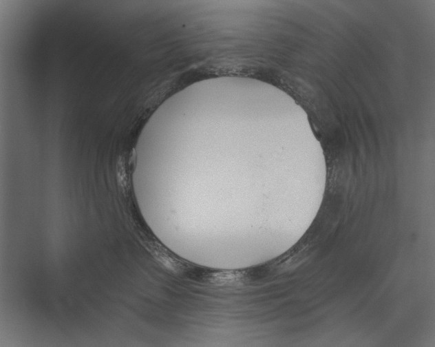 X0000075340335200610061701