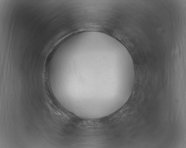 X0000075340338200610061700