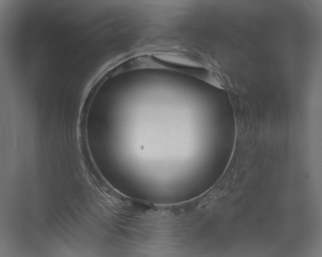 X0000075340340200610061700