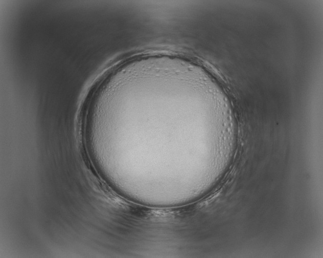 X0000075340343200610061700