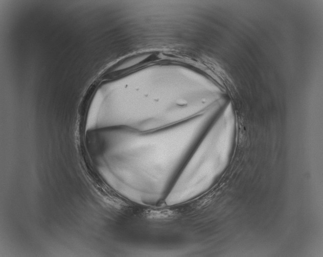 X0000075340346200610061700