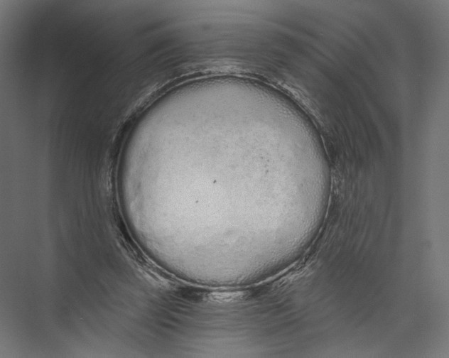 X0000075340347200610061700