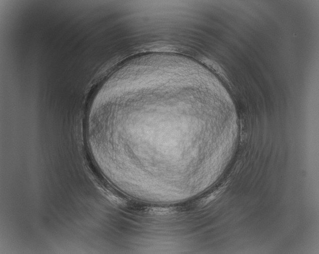 X0000075340349200610061700