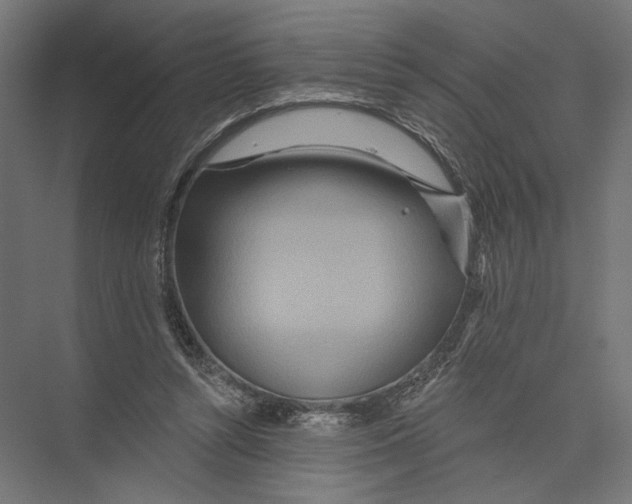 X0000075340352200610061701