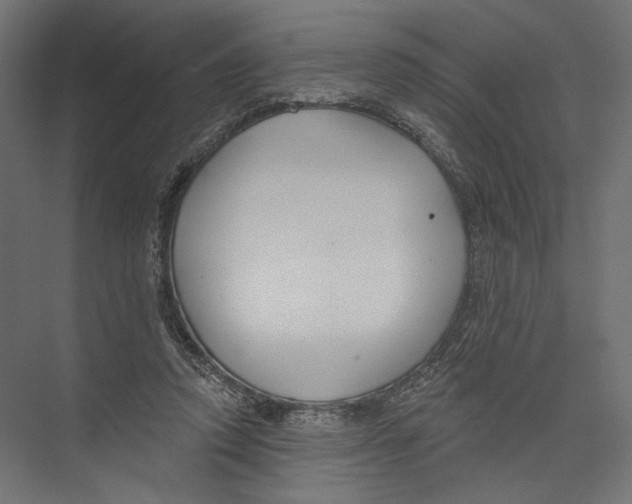 X0000075340354200610061701