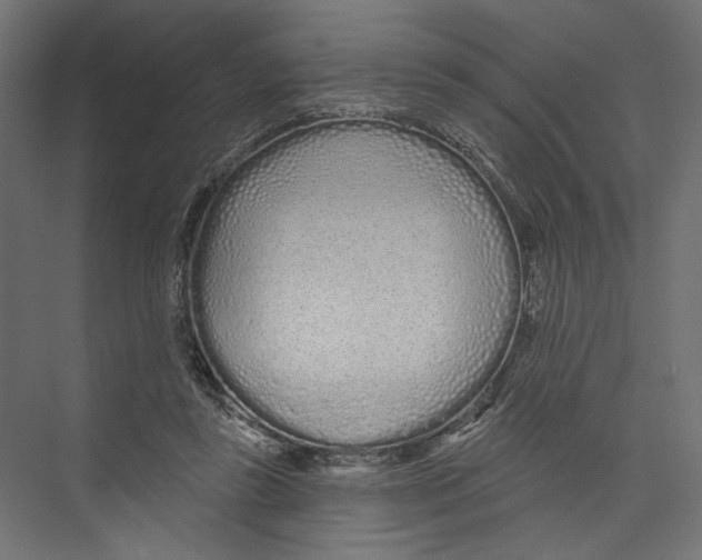 X0000075340355200610061701