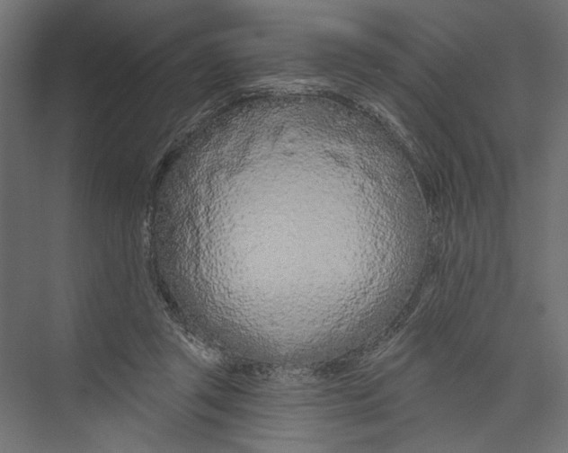 X0000075340357200610061701