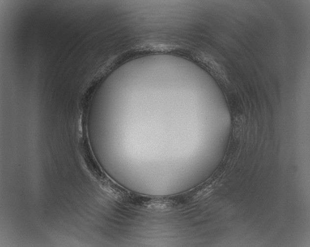 X0000075340358200610061701