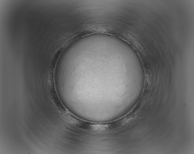 X0000075340359200610061701