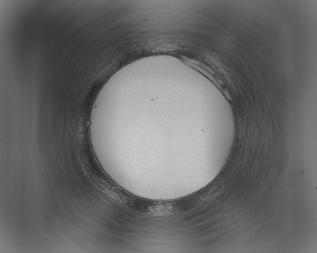 X0000075340362200610061701