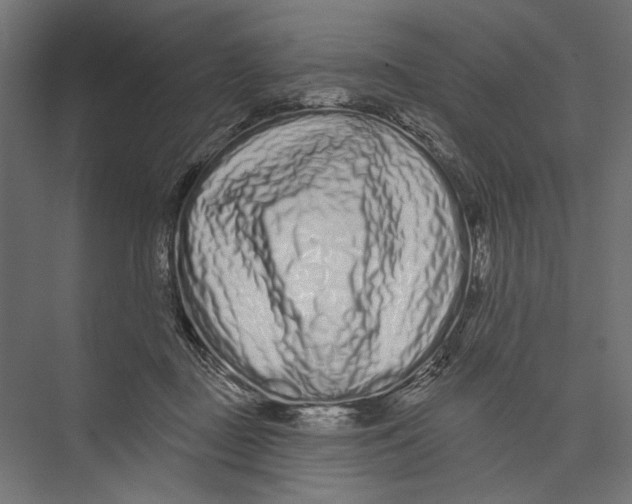 X0000075340363200610061701