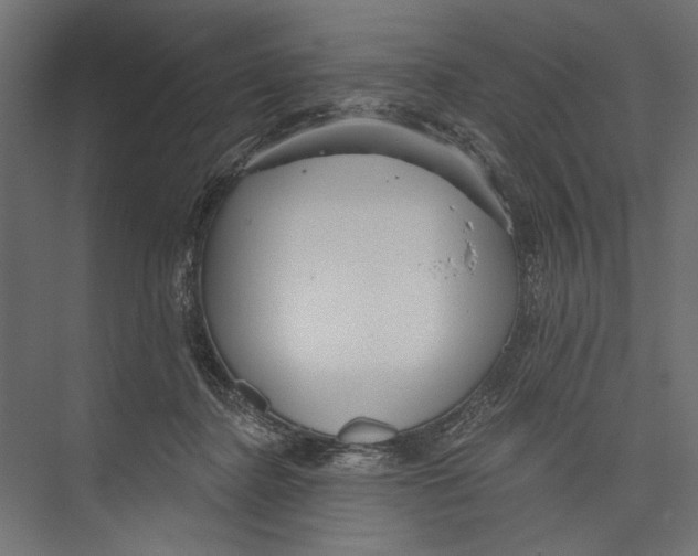 X0000075340364200610061701