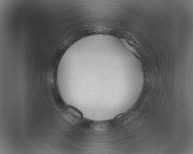 X0000075340368200610061701