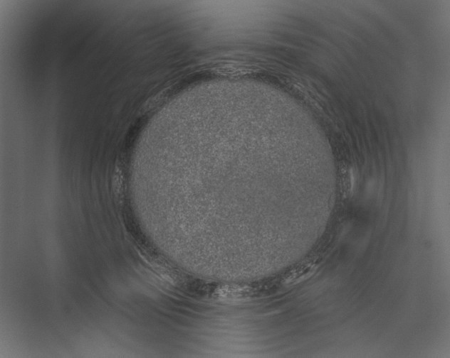 X0000075340371200610061701