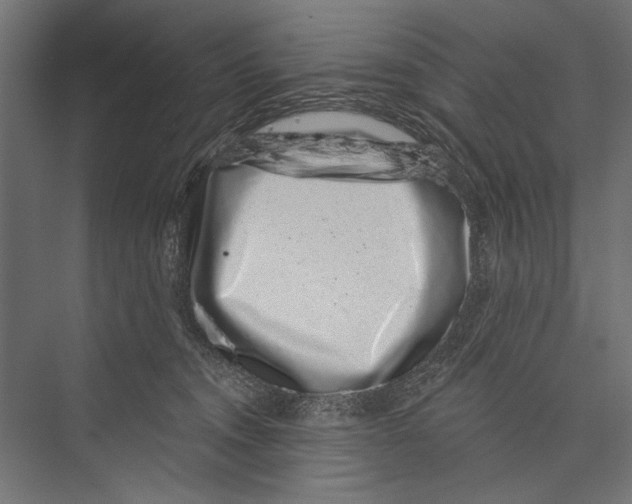 X0000075340372200610061701