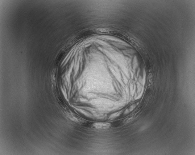 X0000075340373200610061701
