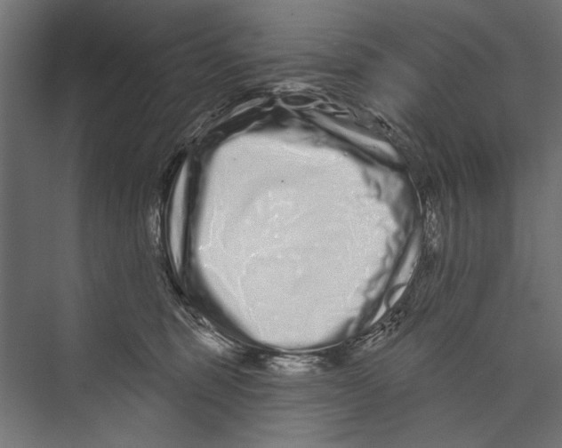 X0000075340375200610061701