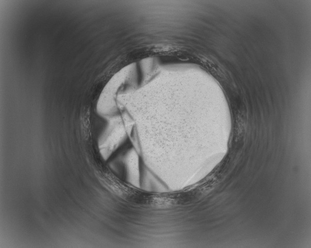 X0000075340376200610061701