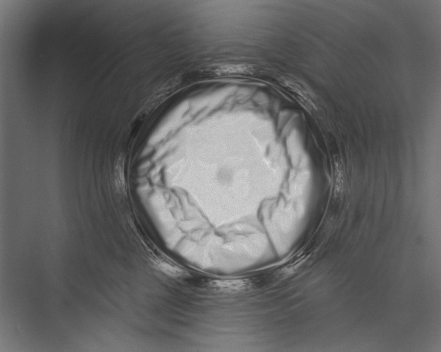 X0000075340377200610061701