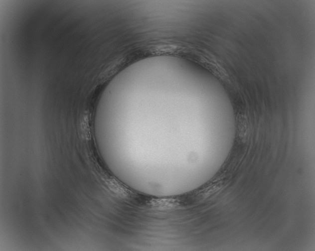 X0000075340378200610061701