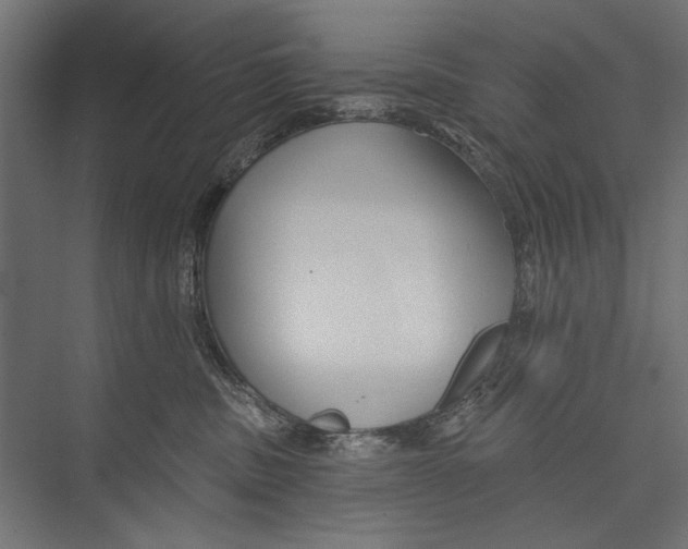 X0000075340379200610061701