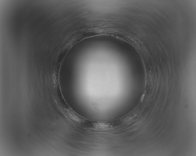 X0000075340380200610061701