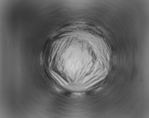 X0000075340381200610061701