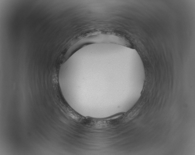X0000075340384200610061701