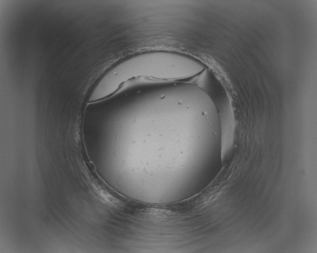 X0000075340393200610061700