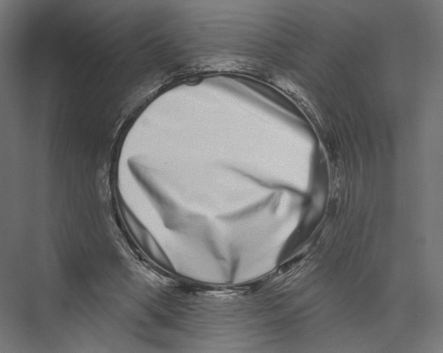 X0000075340394200610061700