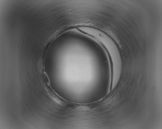 X0000075340397200610061700