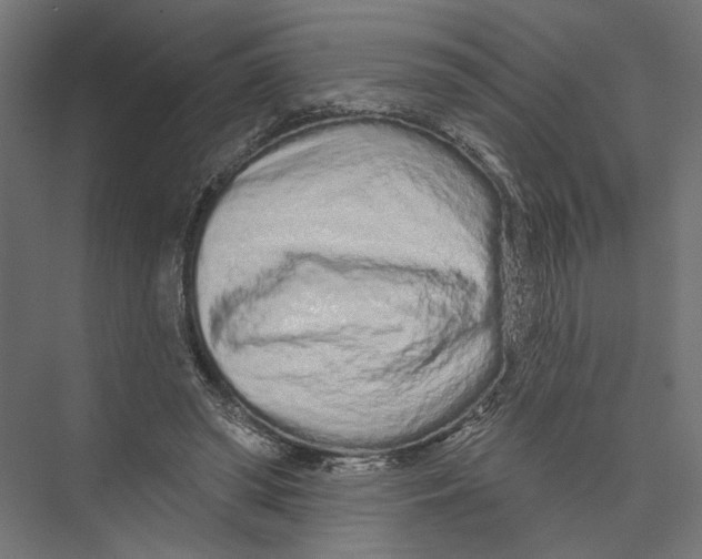 X0000075340398200610061700