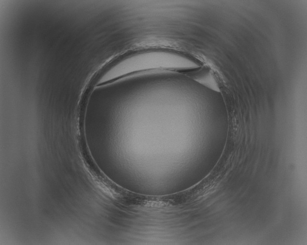 X0000075340399200610061700