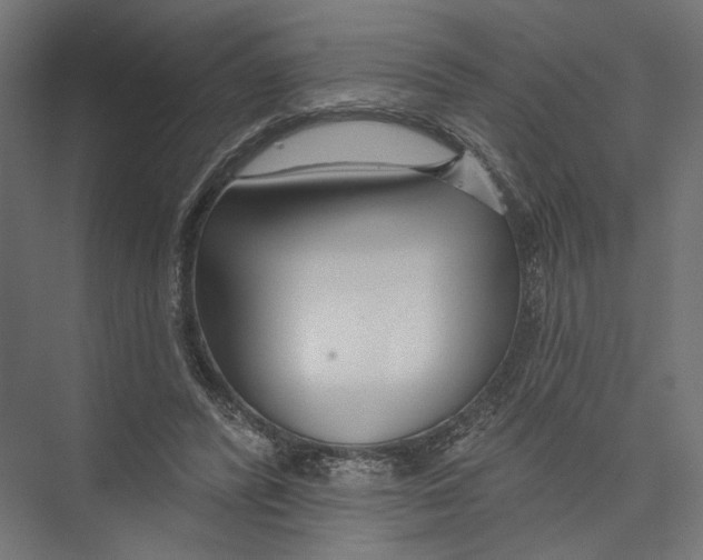 X0000075340400200610061700